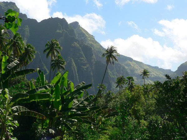 79- Vallee de Hakaui 